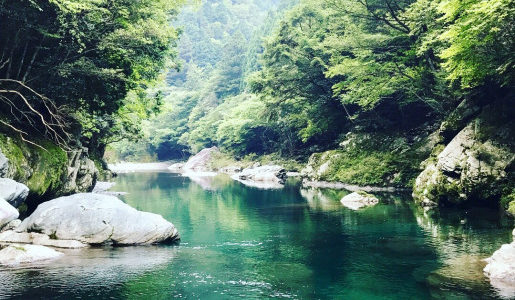 いえづくり教習所　番外編④「素敵すぎる町に住む、素敵すぎる人々。高知県本山町に行って来ました（後編）」