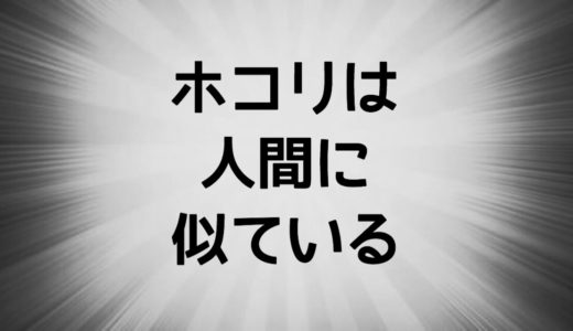 ホコリがねずみ色な理由を調べていたら、人間の真理に触れた件