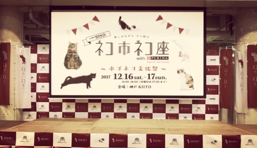 「ネコ市ネコ座」ボランティアスタッフが教えるその魅力