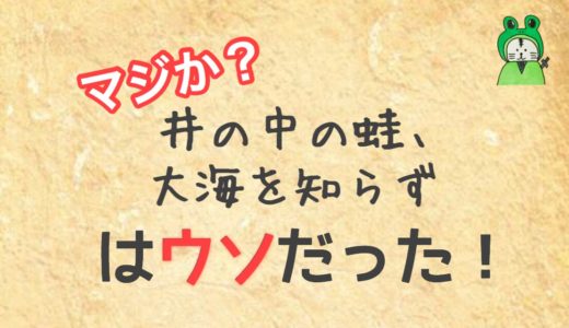 「井の中の蛙、大海を知らず」なんて真っ赤な嘘だ