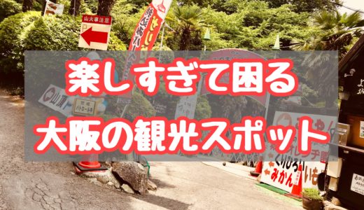 大阪で・子どもたちがめっちゃ笑う場所「城山オレンヂ園（山のおやじ）」